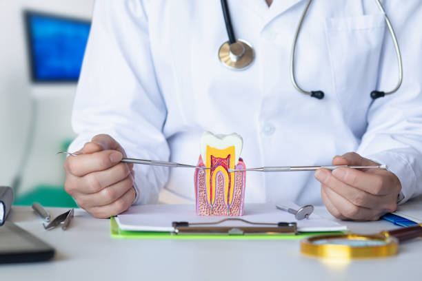 Best Broken or Chipped Tooth Repair in Manchester, MD
