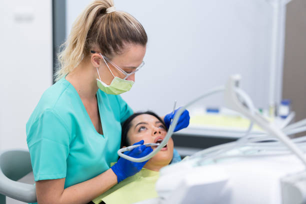 Best Emergency X-Rays and Diagnostics in Manchester, MD